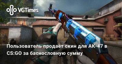 Пользователь продаёт скин для АК-47 в CS:GO за баснословную сумму - vgtimes.ru