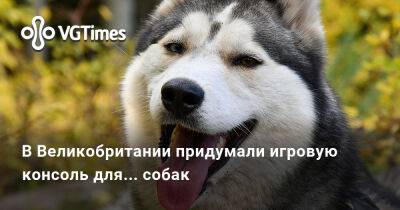 В Великобритании придумали игровую консоль для... собак - vgtimes.ru - Англия