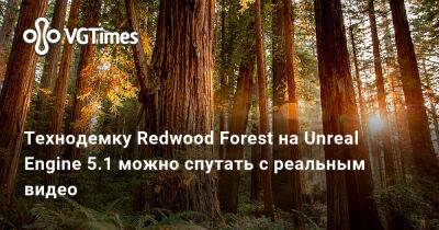 Технодемку Redwood Forest на Unreal Engine 5.1 можно спутать с реальным видео - vgtimes.ru - штат Калифорния - Сан-Франциско