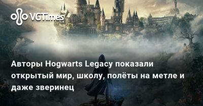 Гарри Поттер - В новом видео Hogwarts Legacy показали открытый мир, школу, полёты на метле и даже зверинец - vgtimes.ru