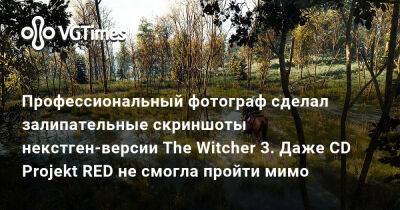Профессиональный фотограф сделал залипательные скриншоты некстген-версии The Witcher 3. Даже CD Projekt RED не смогла пройти мимо - vgtimes.ru