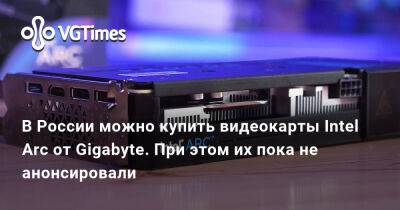 В России можно купить видеокарты Intel Arc от Gigabyte. При этом их пока не анонсировали - vgtimes.ru - Россия