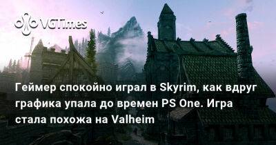 Геймер спокойно играл в Skyrim, как вдруг графика упала до времен PS One. Игра стала похожа на Valheim - vgtimes.ru - Россия - Белоруссия