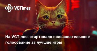 На VGTimes стартовало пользовательское голосование за лучшие игры - vgtimes.ru