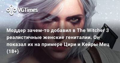 Моддер зачем-то добавил в The Witcher 3 реалистичные женские гениталии. Он показал их на примере Цири и Кейры Мец (18+) - vgtimes.ru