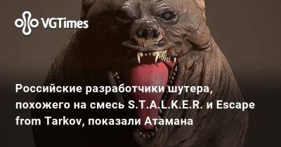 Российские разработчики шутера, похожего на смесь S.T.A.L.K.E.R. и Escape from Tarkov, показали Атамана - vgtimes.ru