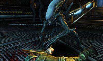 Глен Скофилд - Классическую Aliens versus Predator раздают для Steam. Rebellion дарит ключ активации - gametech.ru - Россия