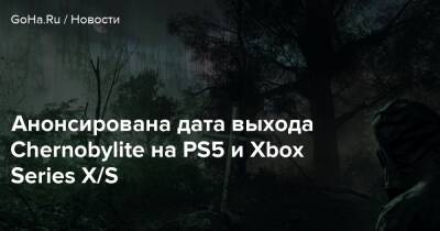 Анонсирована дата выхода Chernobylite на PS5 и Xbox Series X/S - goha.ru