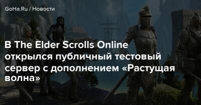 В The Elder Scrolls Online открылся публичный тестовый сервер с дополнением «Растущая волна» - goha.ru