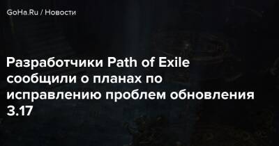 Разработчики Path of Exile сообщили о планах по исправлению проблем обновления 3.17 - goha.ru