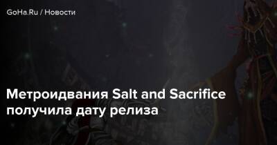 Метроидвания Salt and Sacrifice получила дату релиза - goha.ru - Sanctuary