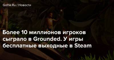 Более 10 миллионов игроков сыграло в Grounded. У игры бесплатные выходные в Steam - goha.ru