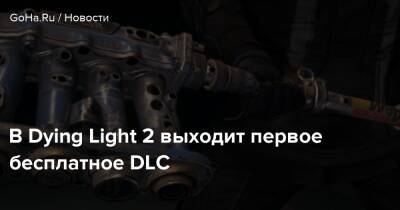 В Dying Light 2 выходит первое бесплатное DLC - goha.ru