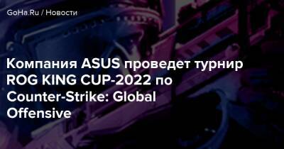 Компания ASUS проведет турнир ROG KING CUP-2022 по Counter-Strike: Global Offensive - goha.ru - Россия