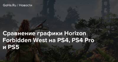 Сравнение графики Horizon Forbidden West на PS4, PS4 Pro и PS5 - goha.ru