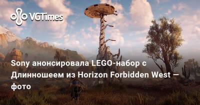 Лариса Крофт - Sony анонсировала LEGO-набор с Длинношеем из Horizon Forbidden West — фото - vgtimes.ru