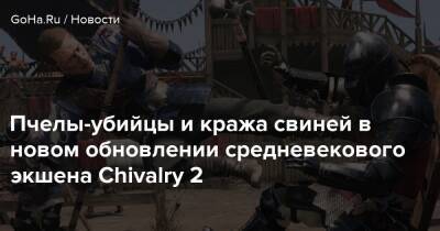 Пчелы-убийцы и кража свиней в новом обновлении средневекового экшена Chivalry 2 - goha.ru