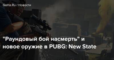 “Раундовый бой насмерть” и новое оружие в PUBG: New State - goha.ru