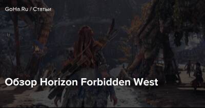 Обзор Horizon Forbidden West - goha.ru