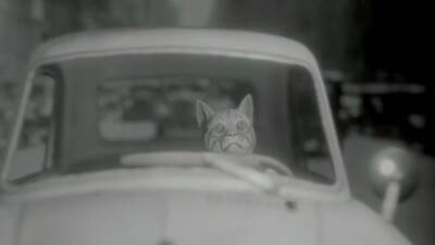 Albert Wilde: Quantum P.I. — юмористический нуар про кота-детектива в Нью-Йорке 1930-х - stopgame.ru - Нью-Йорк - Нью-Йорк