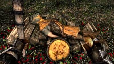 Игрок в The Elder Scrolls 5: Skyrim почтил память стражника, который защитил его от дракона, но сам погиб - playground.ru