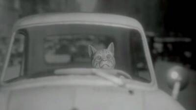 Albert Wilde: Quantum P.I. — юмористический нуар про кота-детектива в Нью-Йорке 1930-х - ps4.in.ua - Нью-Йорк - Нью-Йорк