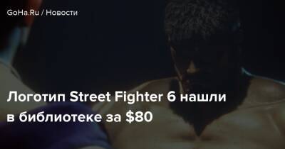 Логотип Street Fighter 6 нашли в библиотеке за $80 - goha.ru
