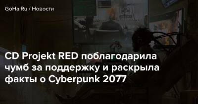CD Projekt RED поблагодарила чумб за поддержку и раскрыла факты о Cyberpunk 2077 - goha.ru