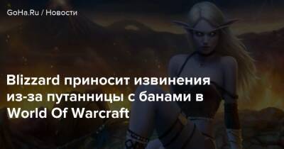 Blizzard приносит извинения из-за путанницы с банами в World Of Warcraft - goha.ru