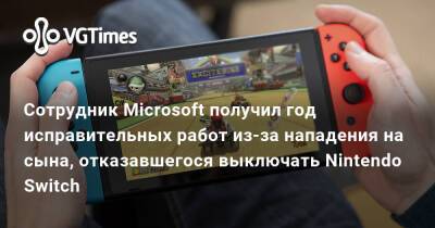 Сотрудник Microsoft получил год исправительных работ из-за нападения на сына, отказавшегося выключать Nintendo Switch - vgtimes.ru - Мельбурн
