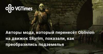 Авторы мода, который перенесёт Oblivion на движок Skyrim, показали, как преобразились подземелья - vgtimes.ru