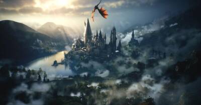 Гарри Поттер - Джоан Роулинг - Релиз Hogwarts Legacy и премьеру «Тайн Дамблдора» могут перенести - cybersport.ru