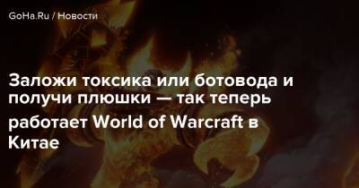 Заложи токсика или ботовода и получи плюшки — так теперь работает World of Warcraft в Китае - goha.ru - Сша - Китай - Россия - Азерот