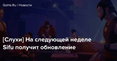 [Слухи] На следующей неделе Sifu получит обновление - goha.ru