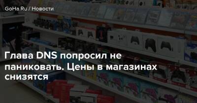 Дмитрий Алексеев - Глава DNS попросил не паниковать. Цены в магазинах снизятся - goha.ru