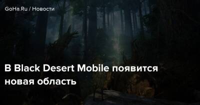 В Black Desert Mobile появится новая область - goha.ru