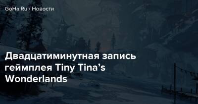 К.Экшен - Двадцатиминутная запись геймплея Tiny Tina’s Wonderlands - goha.ru
