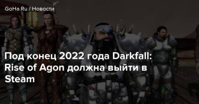 Под конец 2022 года Darkfall: Rise of Agon должна выйти в Steam - goha.ru