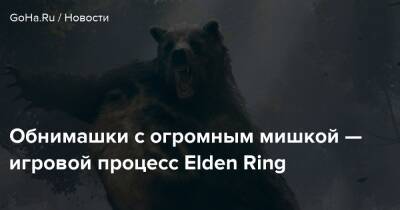 Обнимашки с огромным мишкой — игровой процесс Elden Ring - goha.ru