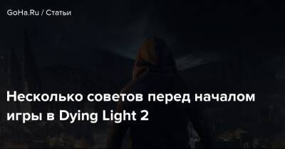 Несколько советов перед началом игры в Dying Light 2 - goha.ru