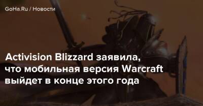 Activision Blizzard заявила, что мобильная версия Warcraft выйдет в конце этого года - goha.ru