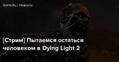 [Стрим] Пытаемся остаться человеком в Dying Light 2 - goha.ru