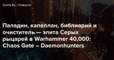 Паладин, капеллан, библиарий и очиститель — элита Серых рыцарей в Warhammer 40,000: Chaos Gate – Daemonhunters - goha.ru