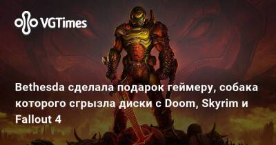 Bethesda сделала подарок геймеру, собака которого сгрызла диски с Doom, Skyrim и Fallout 4 - vgtimes.ru