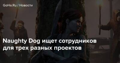 Нил Дракманн - Naughty Dog ищет сотрудников для трех разных проектов - goha.ru