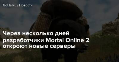 Star Vault - Через несколько дней разработчики Mortal Online 2 откроют новые серверы - goha.ru