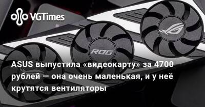 ASUS выпустила «видеокарту» за 4700 рублей — она очень маленькая, и у неё крутятся вентиляторы - vgtimes.ru