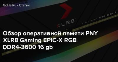 Обзор оперативной памяти PNY XLR8 Gaming EPIC-X RGB DDR4-3600 16 gb - goha.ru