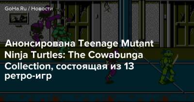 Анонсирована Teenage Mutant Ninja Turtles: The Cowabunga Collection, состоящая из 13 ретро-игр - goha.ru