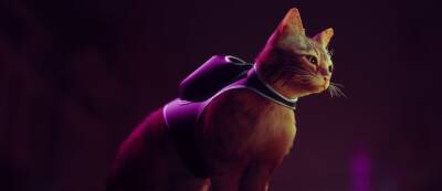 Stray про кота в мире киберпанка все еще должна выйти в 2022 году - новый скриншот - gamemag.ru